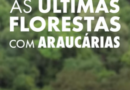 AS ÚLTIMAS FLORESTAS COM ARAUCÁRIAS